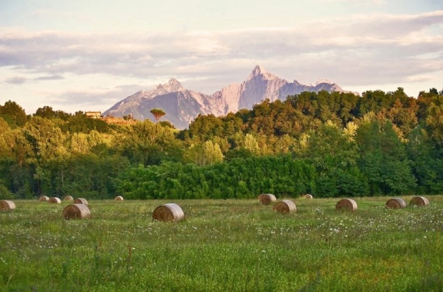  La vista de la finca